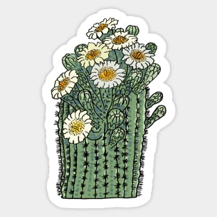 Arizona States Flower : Saguaro Cactus Blossom Sticker